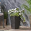Pot à fleurs polyvalent en oxyde de magnésium pour des espaces extérieurs élégants