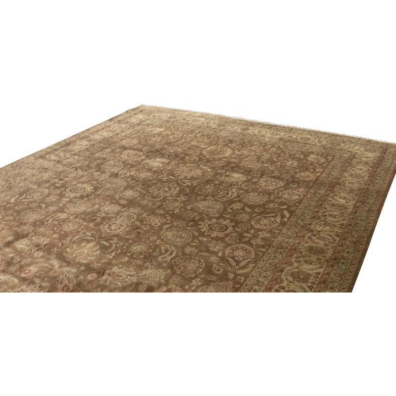Hand Knotted Wool Area Rug in Brown And Beige