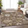 Premium Machine Washable Prisco Chocolate Rug