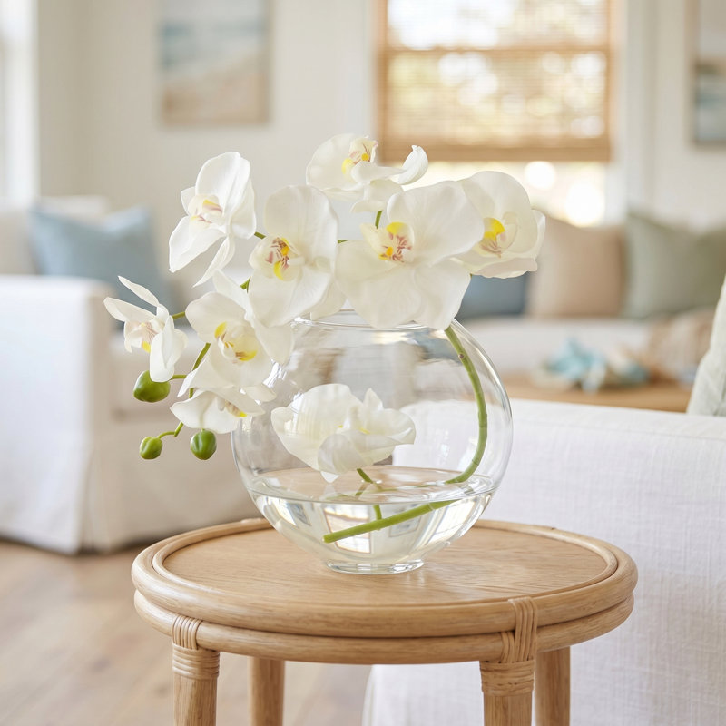 Orchid in Flat Glass Vase