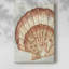 Vintage Shell Vignette II -Galerie enveloppée Cavas-693300864