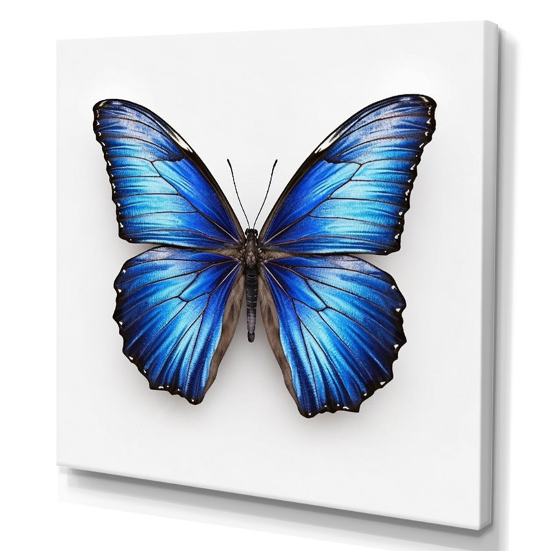 «Vibrant Blue Butterfly II» - art mural papillon, Toile tendue, H 24 po x l 32 po x P 1 po