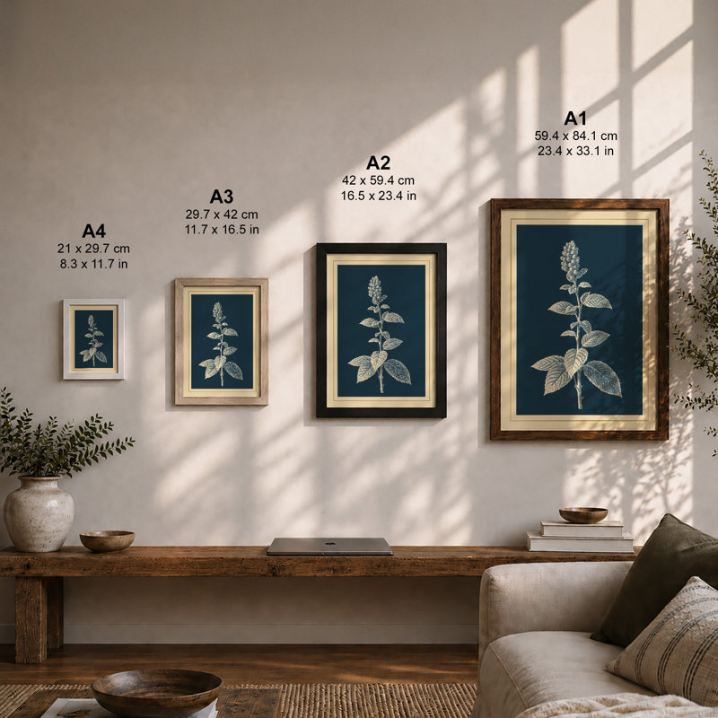 Classical Study Botanical - Framed Print, A2 - 59.4 x 42.0 cm, Oak