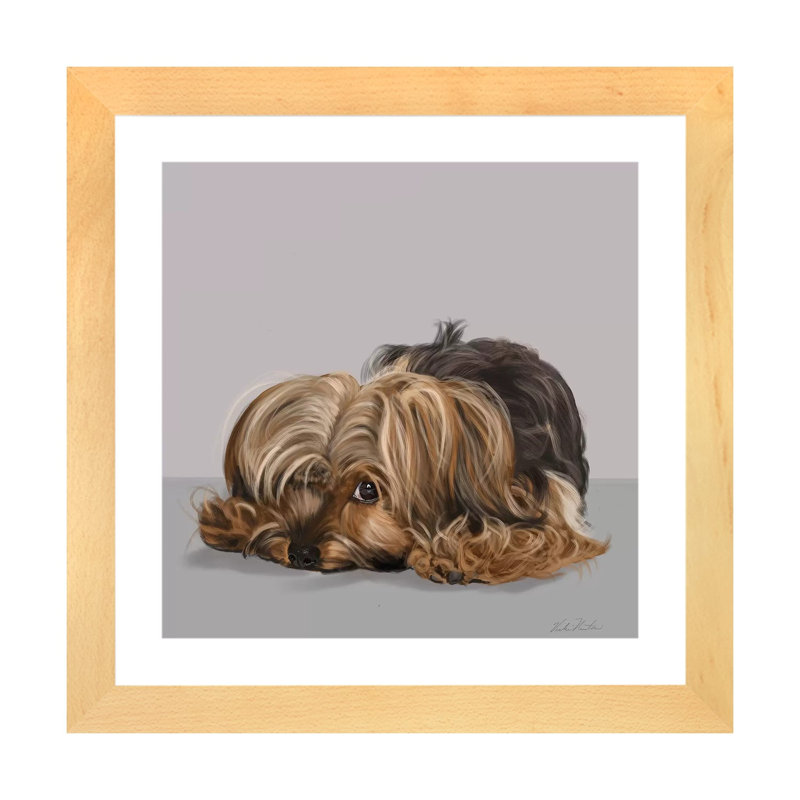 «Yorkshire Terrier One Eye Open» par Vicki Newton - reproduction d'art, Blanc, H 16 po x l 16 po x P 1 po