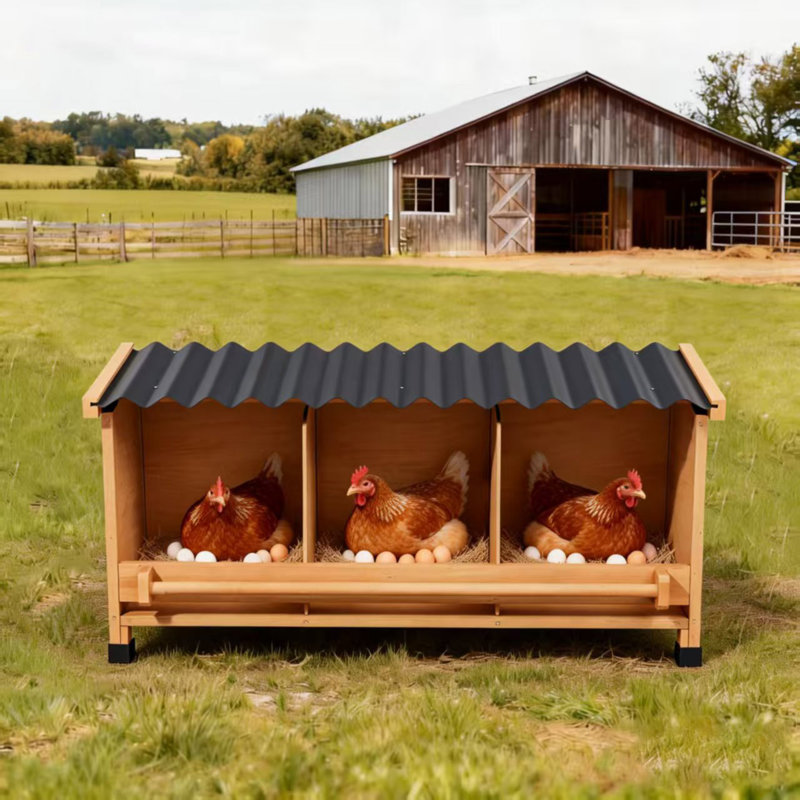 Boîtes gigognes en bois toutes saisons avec perchoir d'entrée et panneau d'intimité, pour 3 poules