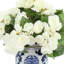 Begonia Arrangement In Ornamental Ceramic Vase-658148959