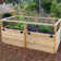 6 ft. W x 3 ft. D Cedar Garden in a Box