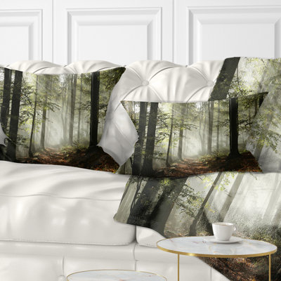 Coussin de forêt à chute dense avec paysage de brouillard