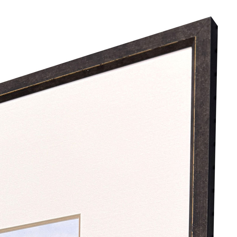 Trout Framed Art