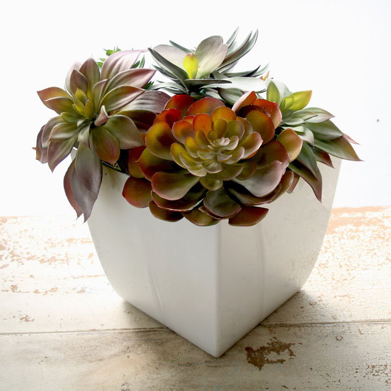  Aria Square Self Watering Planter - Glossy ( 2 Pack), White, 12.7" H x 12" W x 12" D