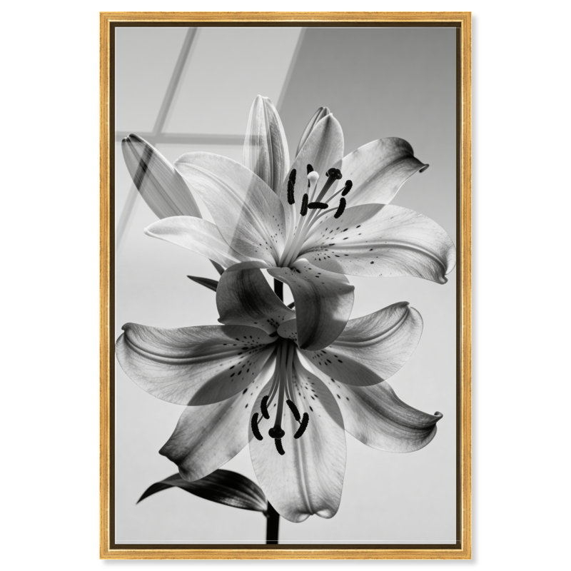 Beautifully Balanced Print by Oliver Gal, 55" H x 37" W, Gold Floater Frame