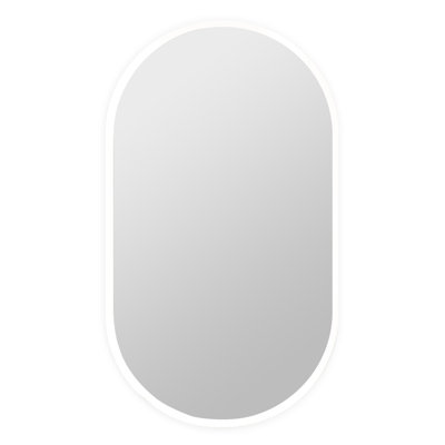 Bella 24 in. W x 42 in. H Frameless LED Bathroom Vanity Mirror with Color Changer, Dimmer and Defogger