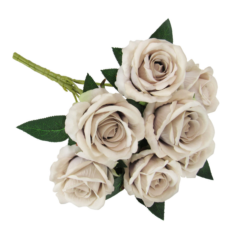 Velours rosier, Beige gris