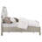 Keymari Wood California King LED Panel Bed Silver Oak-2078220700
