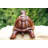 Arione Animals Figurines & Sculptures