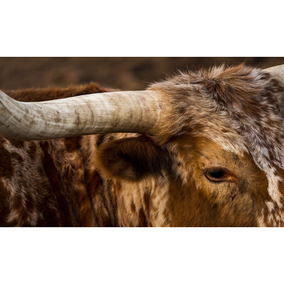 I'm Listening Framed Photographic Print Canvas by Adam Mowery