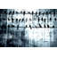 « out of line » par parvez taj,, reproduction d’art sur toile tendue-10571350