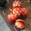 Moule à gâteau 30 macarons CHEFMADE