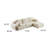 Modern Memory Foam Compression Sectional Sofa-939979800