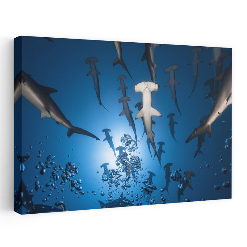 Art contemporain contemporain requin contemporain, H 24 po x l 16 po
