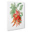 Orange Clianthus Flowers - Wrapped Canvas-55359583