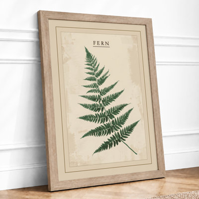 Fern Frond Botanical - Framed Print