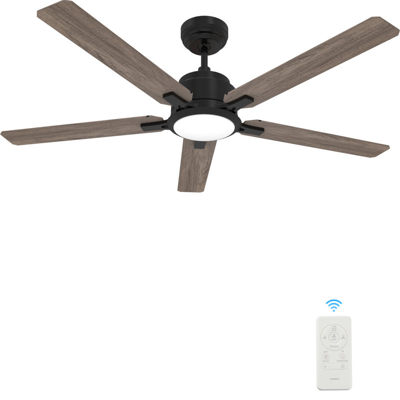 Ventilateur de plafond intelligent 52 po avec télécommande, ensemble d'éclairage inclus ， Fonctionne avec l'assistant Google et Amazon Alexa, raccourci Siri.