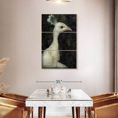 Paon blanc Brampt