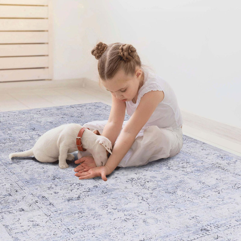 2x3 Multi-coloured Machine Washable Area Rugs