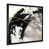 Black Picture Framed is unavailable