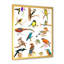 «Vibrant Coloured Birds Plancard», reproduction sur toile-59708182-59708190