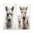 Grey Alpaca Wool Grace II - Alpaca Metal Prints Set Of 2-2451427