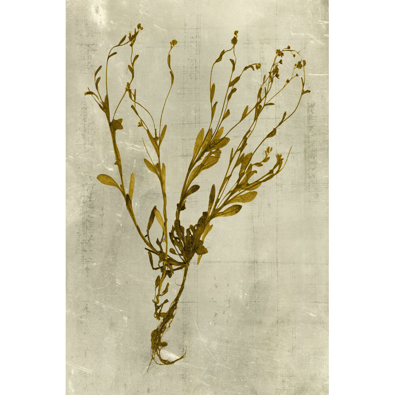Impressions In Mustard by Vision Studio - Wrapped Canvas Print, 46cm H x 30cm W