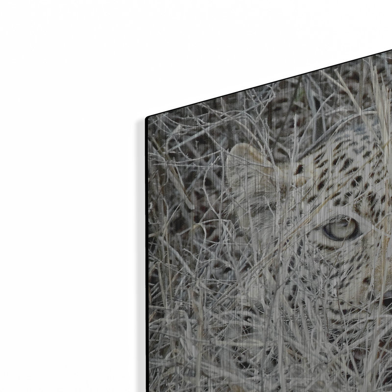 «Leopard» Bungalow Rose par Helene Sobol, art mural en métal, 16 po x 12 po, H 24 po x l 36 po