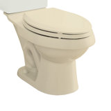 Dual Force Dual Flush Elongated Toilet Bowl Only