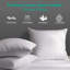 Ensemble de 2 coussins décoratifs Soft Feather-102250140