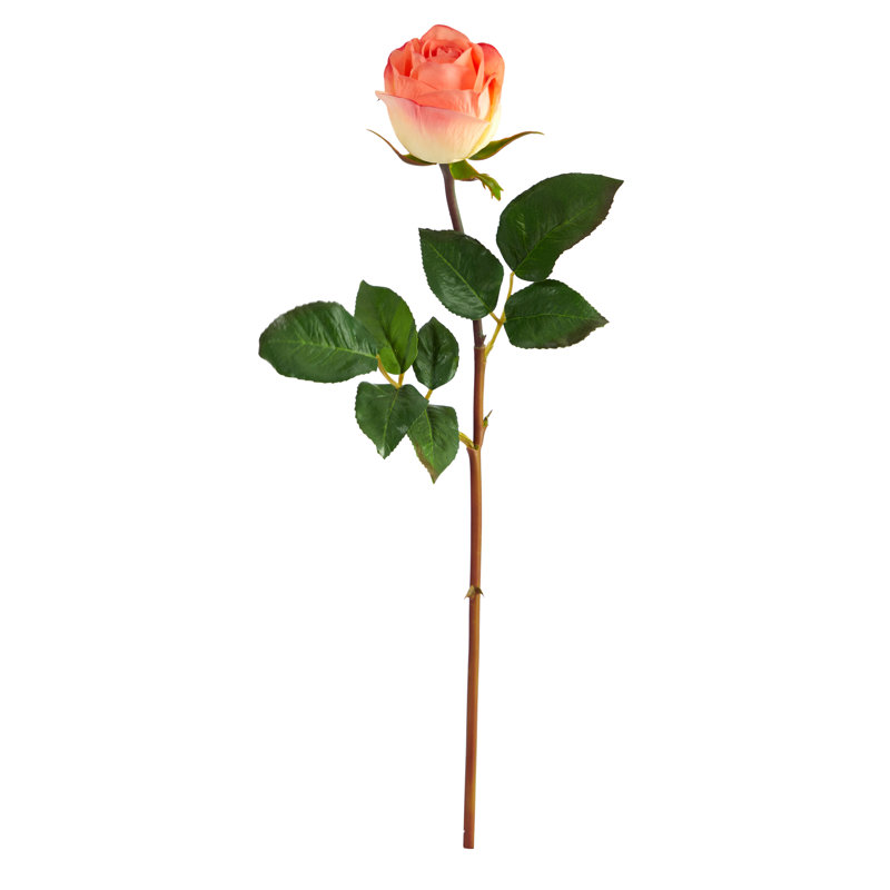 Tige de roses, H 20 po x l 3 po x P 3 po, Saumon