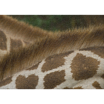 Tapis de zone brune 4 giraffe