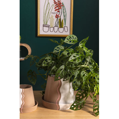 Pot à fleurs en céramique Hanvitha