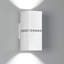Dau Double Surface