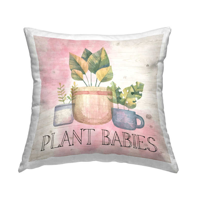 Coussin Plant