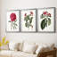 Roseat Blooms IV - reproduction encadrée sur mesure de qualité supérieure mate - 3 pièces-114374639-114374637
