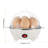 Electric Egg Cooker 7-Egg Capacity