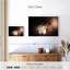Renne du matin-107942562