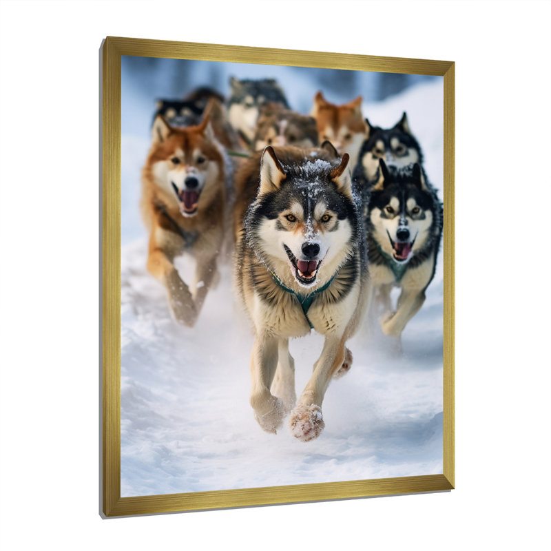 «Alaska Dog Sledding III», reproduction sur toile, H 20 po x l 12 po x P 1 po, Encadrement doré
