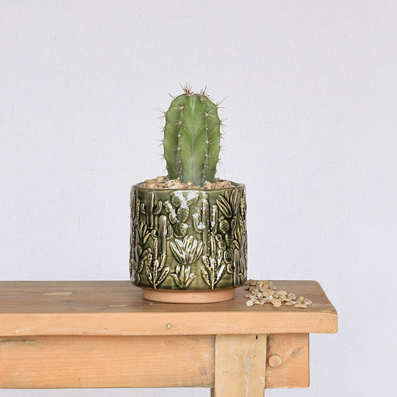 Barba Ceramic Cactus Cachepot, 5" H x 5" W x 5" D