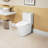 One Ceramic Toilet, 1.1/1.6 Flushing, 15.55 In Comfort Height, White, Soft Close Seat, And Approved White &
