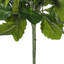 Buisson artificiel Kalanchoe-24826039