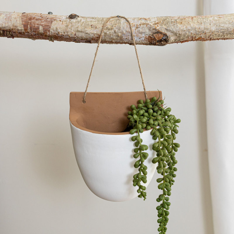 Wall Organizer with Wall Baskets