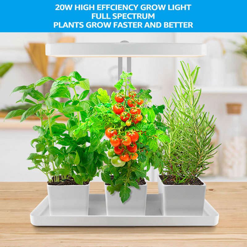 Indoor Garden Kit, Height Adjustable Herb & Kitchen Garden Grow Light, Auto-timer Function
